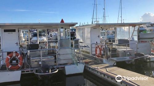 Gold coast party pontoons