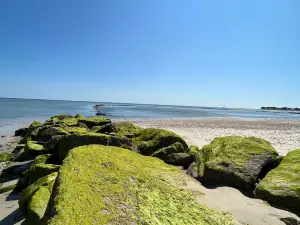 Plage des Dames