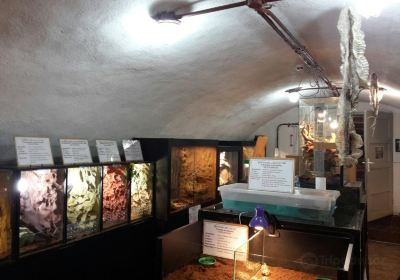 Expo Reptile vii Sibiu