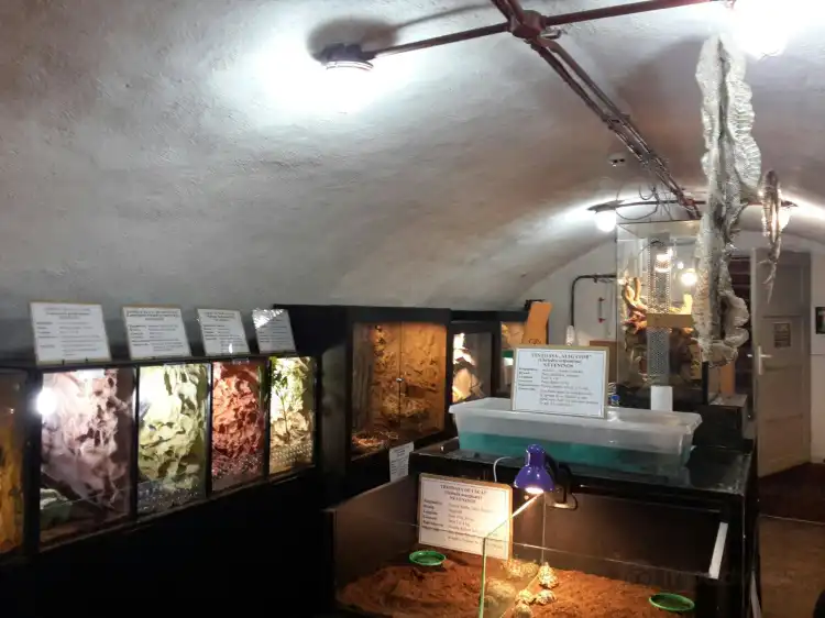 Hotel dekat Expo Reptile vii Sibiu