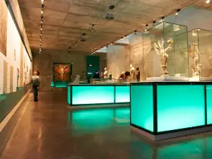 Scriptorial d'Avranches, musee des manuscrits du Mont Saint-Michel