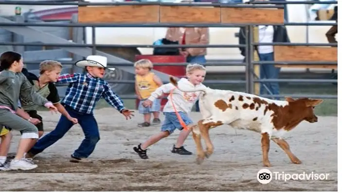 Wild West Yellowstone Rodeo