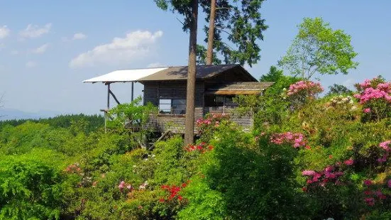 大山しゃくなげ園