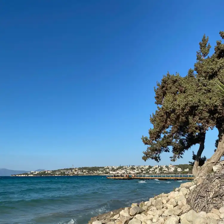 Boyalik Mahallesi