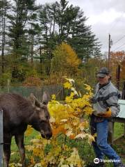 Maine Wildlife Park