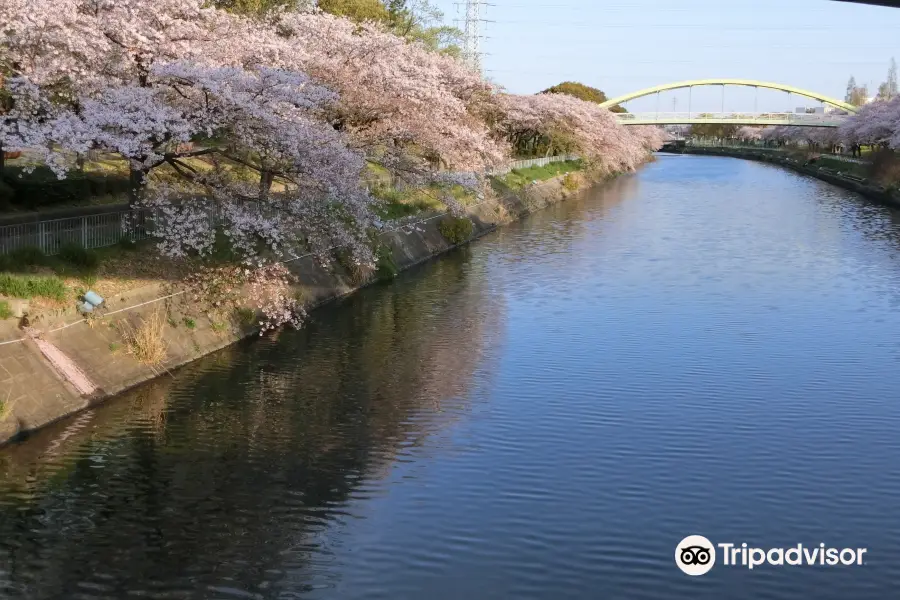 Arakogawa Park