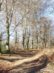 Menhir de Ceinturat