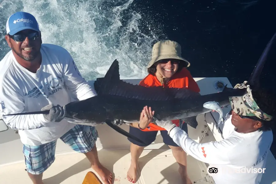 Picudo Sportfishing Day Charters