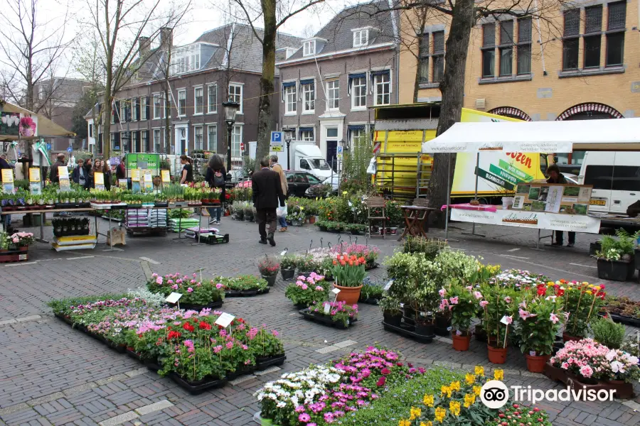 Janskerkhof Bloemenmarkt