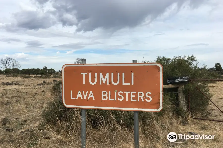 Tumuli (Lava Blisters)