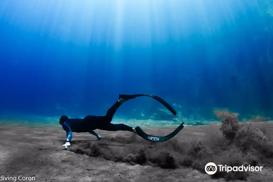 Freediving Coron