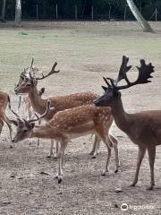 Hochwildpark Rheinland