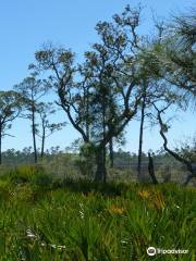 Bald Point State Park