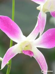 Orquidario de Morelia