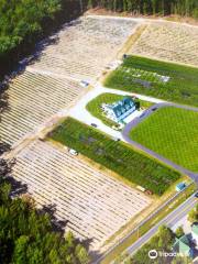 DiMeo Blueberry Farms & Blueberry Plants Nursery