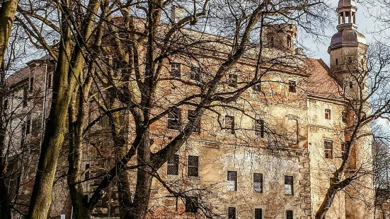 Castle in Głogówek