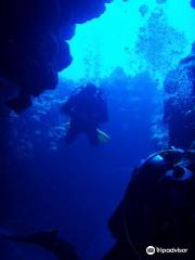 Diving in Dahab with Pospadan