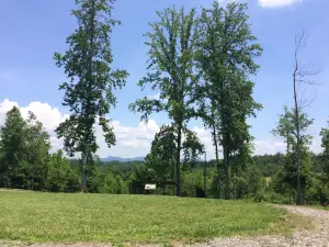 Bechtler Mint Site Historic Park