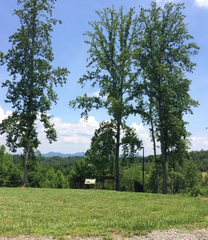 Rutherfordton
