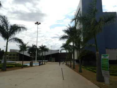 Venerando de Freitas Borges