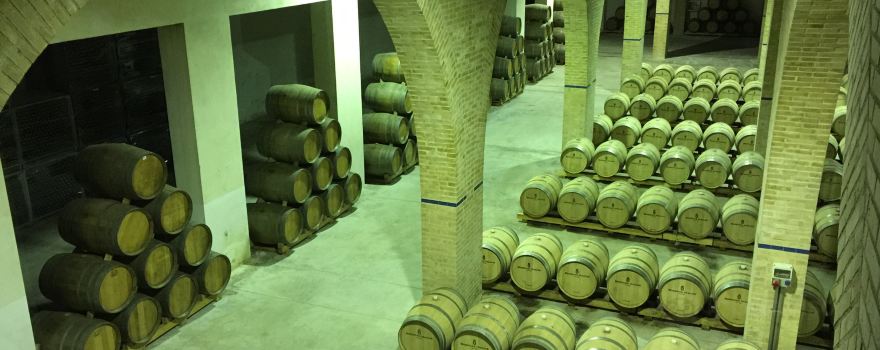 Bodegas Irache