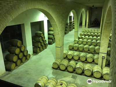 Bodegas Irache