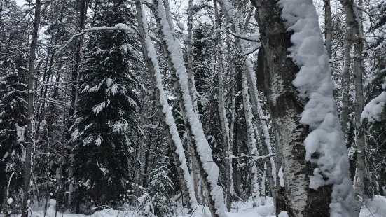 Hersey Lake Conservation Area