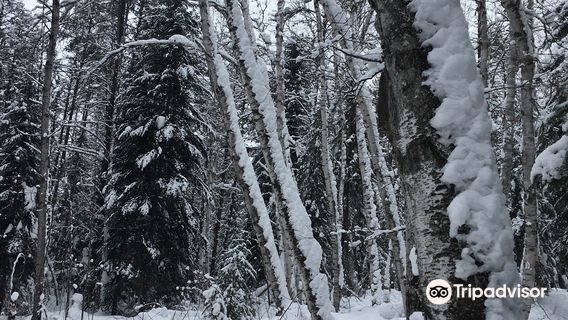 Hersey Lake Conservation Area