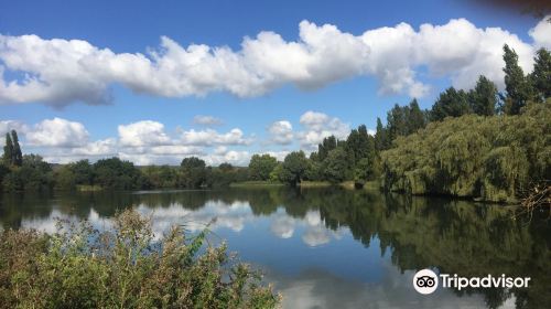 Leybourne Lakes Country Park