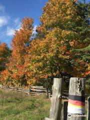 Mockingbird Hill Farm