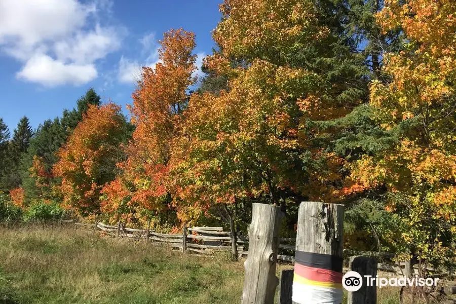 Mockingbird Hill Farm