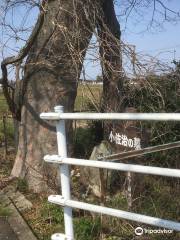 Tombstone of Ikuyo Princess and Kosaji