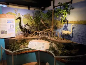 พิพิธภัณฑ์แห่งชาติของเกาะเคย์แมน