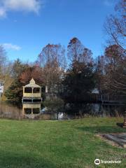 Penshurst Wetland Gardens