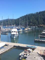 Maple Bay Marina