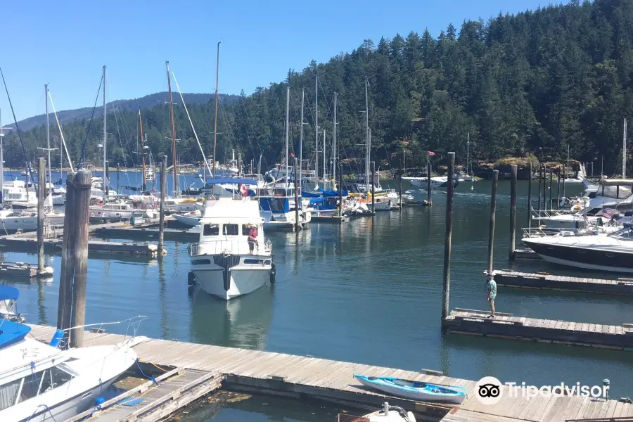 Maple Bay Marina