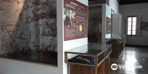 Museu de Arqueologia e Paleontologia （MAPA）