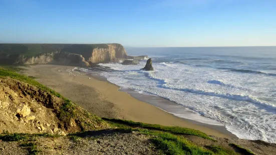 Davenport Landing Beach