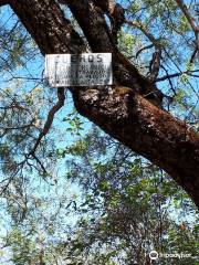 Parque Arqueologico La Tunita