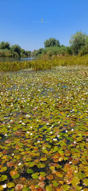 Apartments in Tulcea, Romania