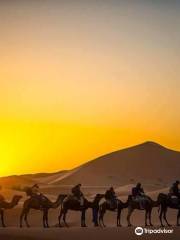 Camel Bivouac Merzouga