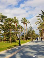 Paseo Maritimo de San Pedro