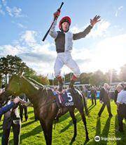 Leopardstown Racecourse