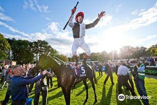 Leopardstown Racecourse