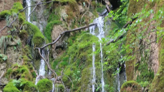 Grotta dello Scalandrone