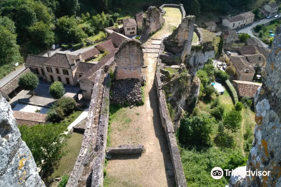 Chateau de Gavaudun