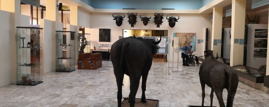 African Museum of Dr. Emila Holub
