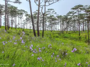 Phu Soi Dao National Park