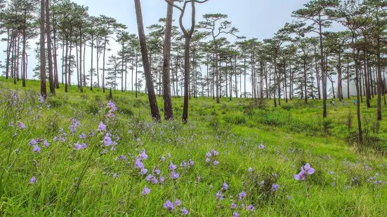 Phu Soi Dao National Park