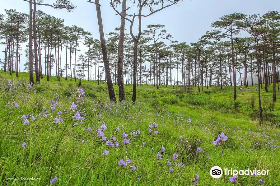 Phu Soi Dao National Park